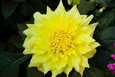 狙击模拟《Center Mass: Streets of Ramadi》Steam页面 发售日待定